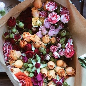 Meet your Posher, Arpineh